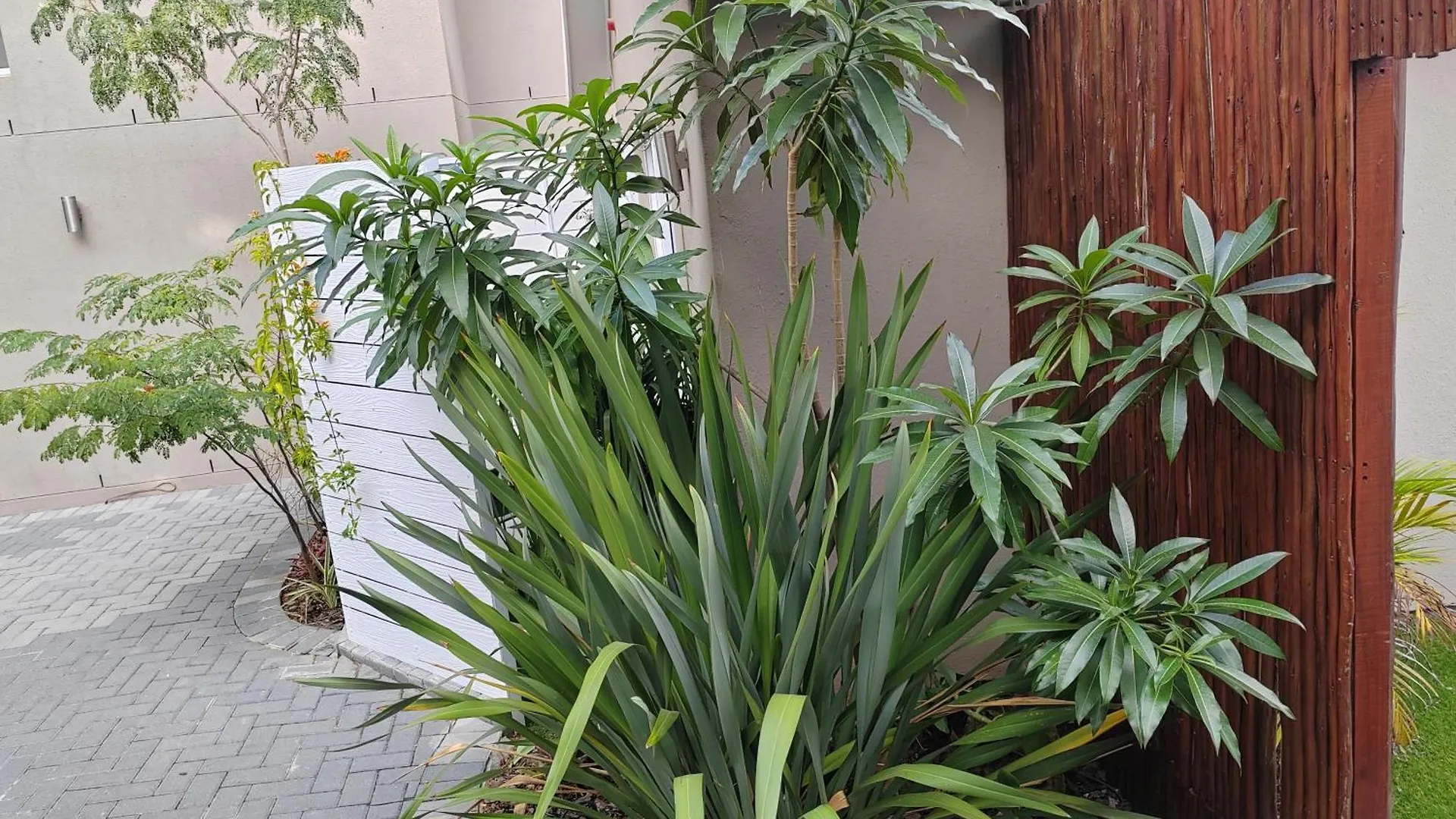 Leafy Retreat Kenridge Trendy Apartment Durbanville 0*,